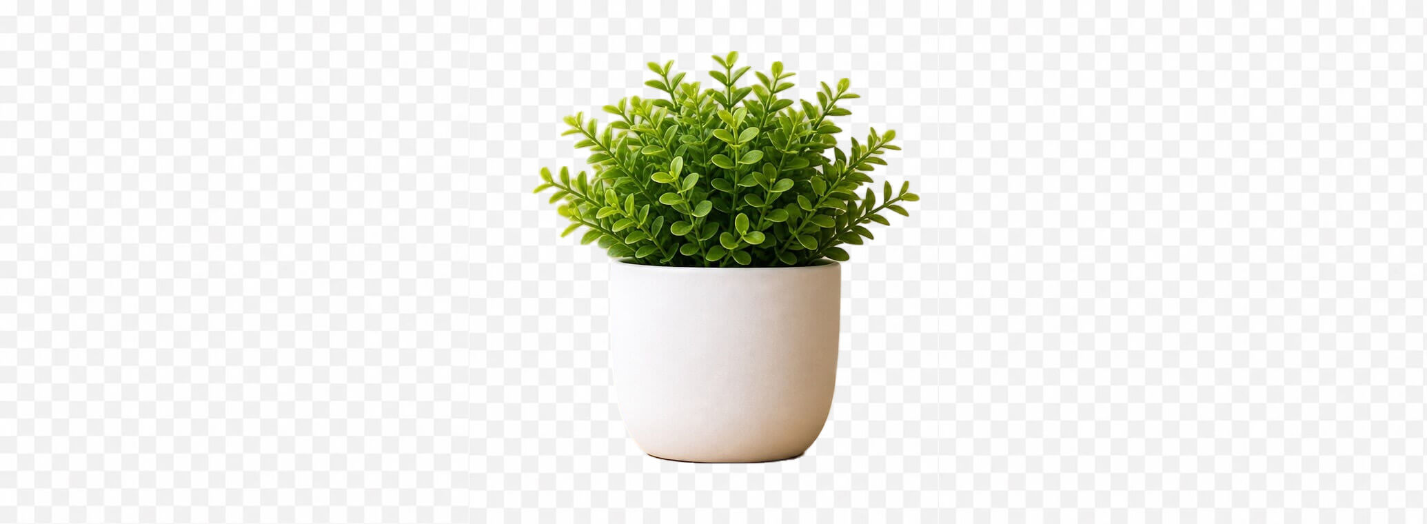 处理后